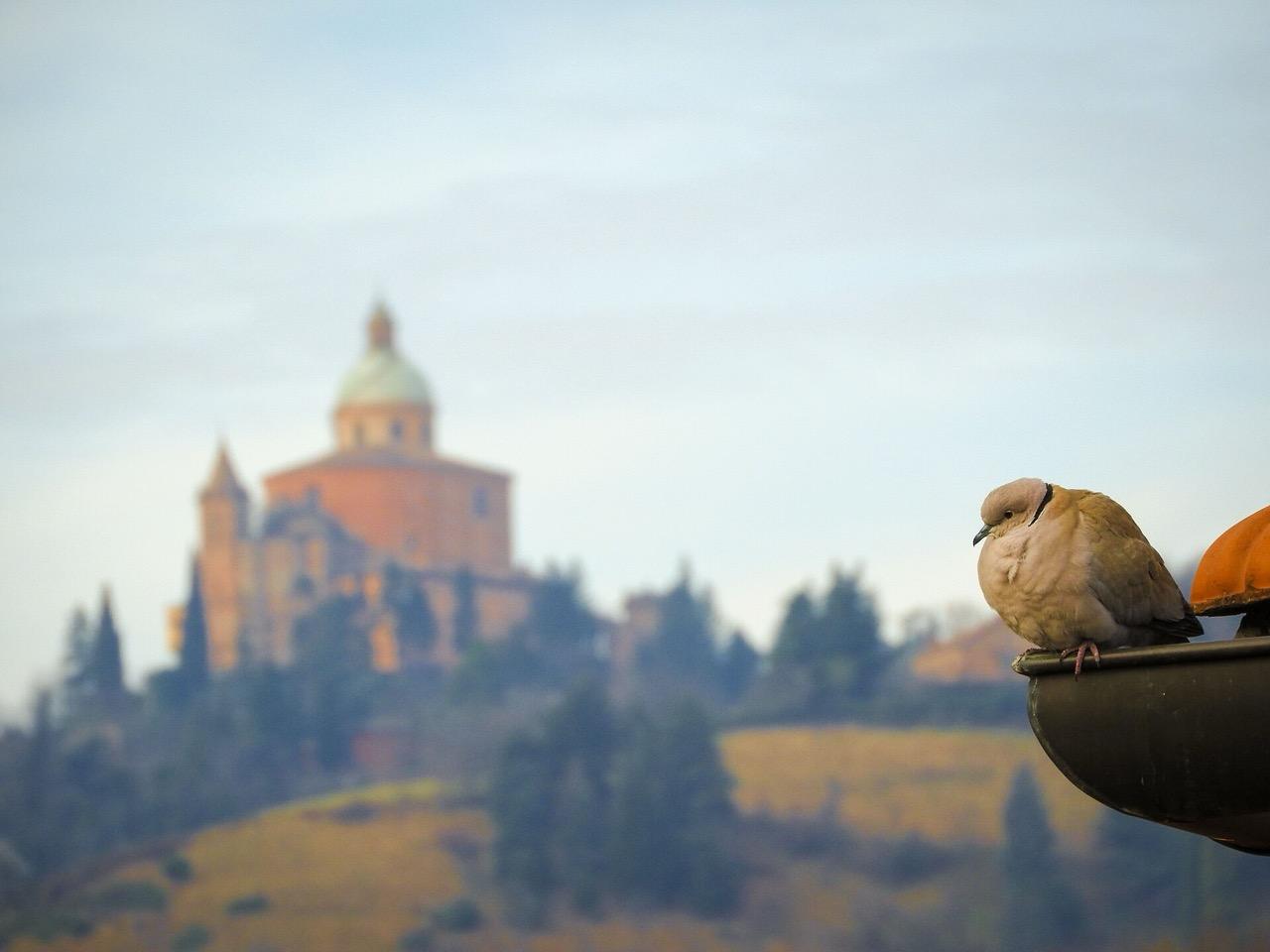 Santuario della Madonna di San Luca