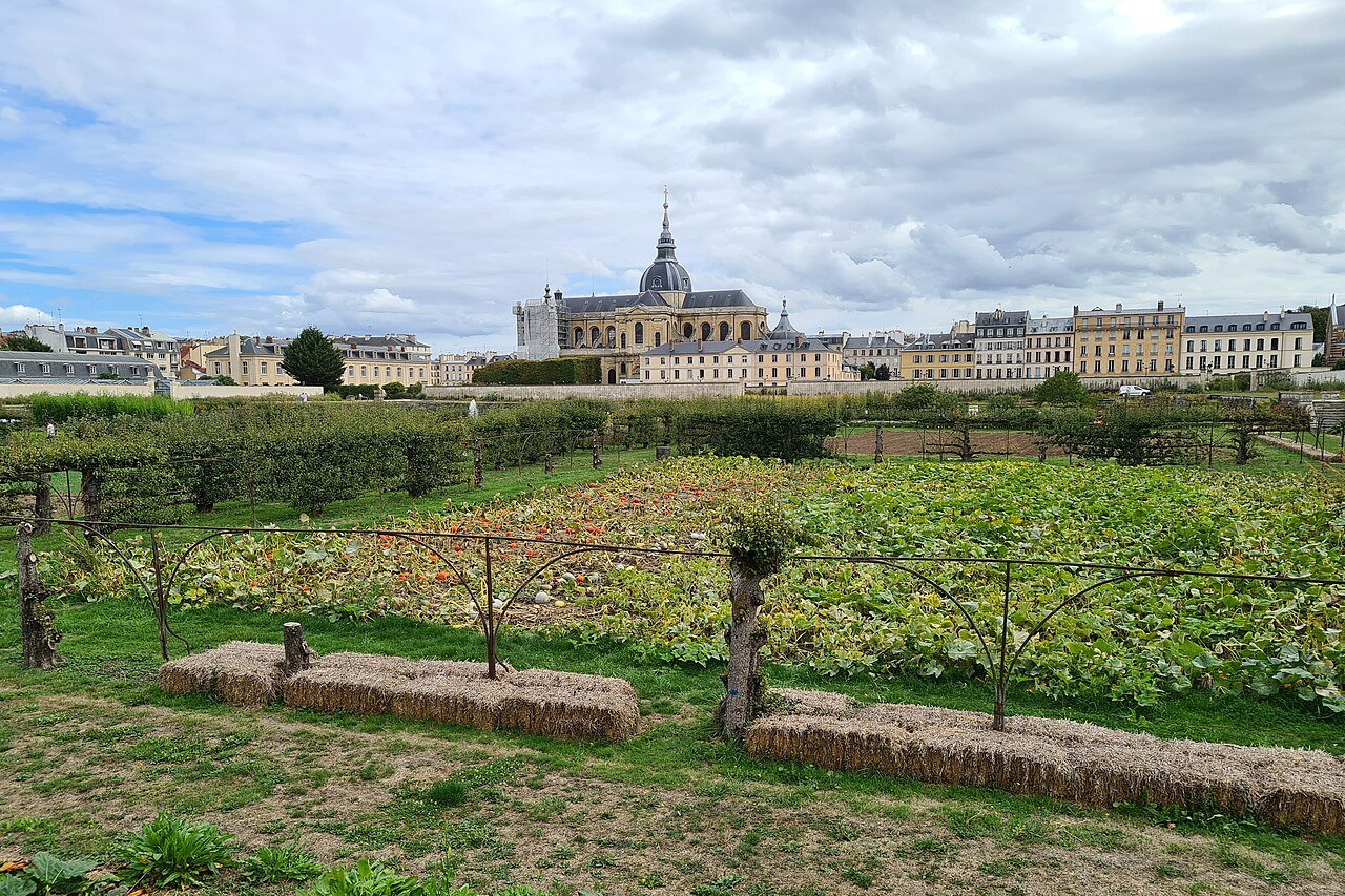 Cathédrale Saint-Louis de Versailles